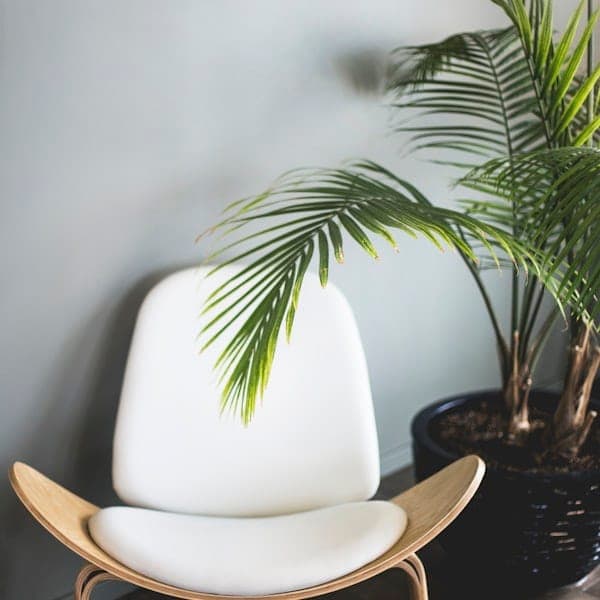 Scandi Shell Lounge Chair